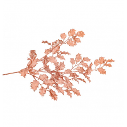 BRANCHE - Houx or rose/rose...