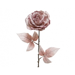 BRANCHE/TIGE - Rose rose...