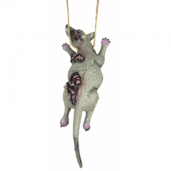COLLIER - Rat enragé