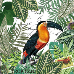 SERVIETTE - Tropical toucan...