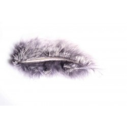 PLUME - Gris (10 gr 5/10 cm...
