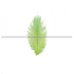 PLUME D'AUTRUCHE - Vert x 2...