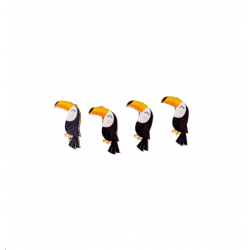 TOUCAN - Sur pince à linge...