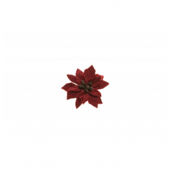 POINSETTIA - Lie de...