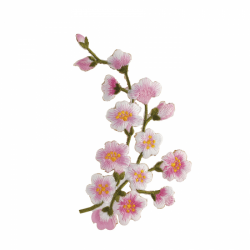 PIQUET - Fleur de cerisier...