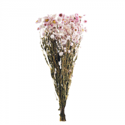 FLEURS SECHEES - Bouquet de...