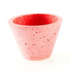 POT/VASE - Rose (en terre...