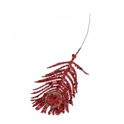 PLUME DE PAON - Rouge