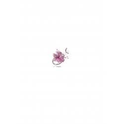 MIRANDA - Fushia x 5