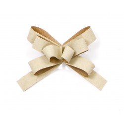 NOEUD CADEAU - Ivoire/...