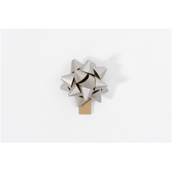 NOEUD CADEAU - Argent/...