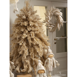 SAPIN - Pampa naturelle...