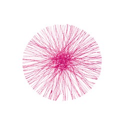 SET DE TABLE - Rond fushia...