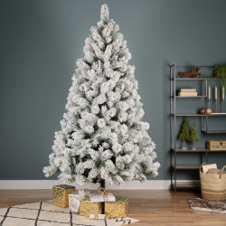 SAPIN - Vancouver enneigé...