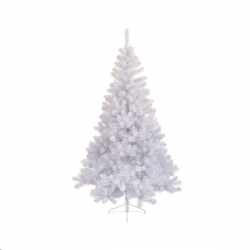 SAPIN - Impérial blanc (1m20)