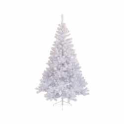 SAPIN - Impérial blanc (1m80)