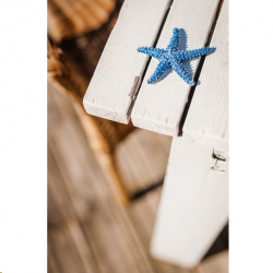 ETOILE DE MER - Bleue (en...