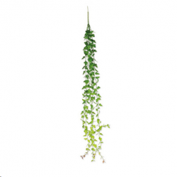 LIERRE - Bouquet en dégradé...
