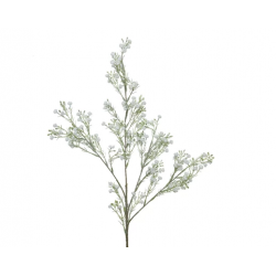 BRANCHE - Gypsophile (en...