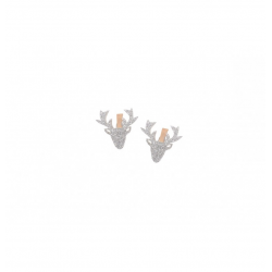 TETE DE CERF/RENNE -...