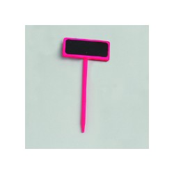 ARDOISE - Fushia sur tige x...