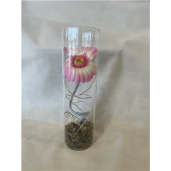 VASE - Avec gerbera