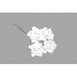 ROSE - Blanche avec bord...