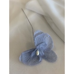 ORCHIDÉE - Vieux bleu x 12...