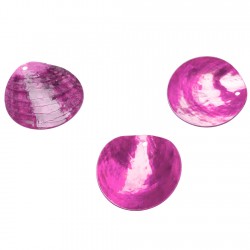 DECOR DE TABLE - Nacre rose...