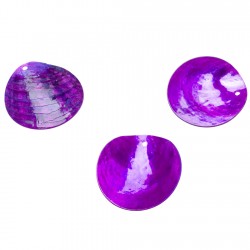 DECOR DE TABLE - Nacre...