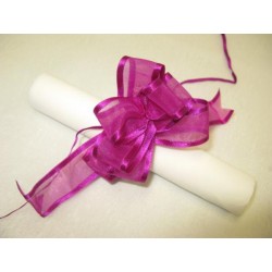 ROND DE SERVIETTE - Prune x...