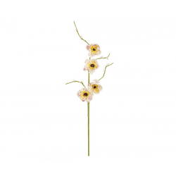 PIQUET/FLEURS - Pavot blanc...