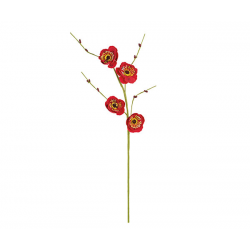 PIQUET/FLEURS - Pavot rouge...
