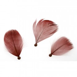 PLUME - Bordeaux avec plume...