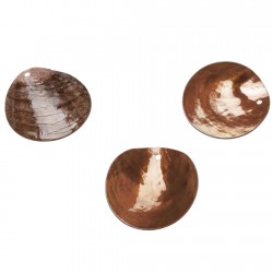 DECOR DE TABLE - Nacre...
