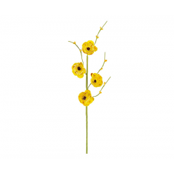 PIQUET/FLEURS - Pavot jaune...