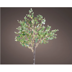 TIGE LUMINEUSE - Eucalyptus...