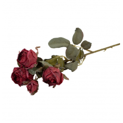 BOUQUET DE ROSE - Rouge...