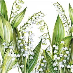 SERVIETTE - Brin de...