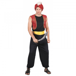 PRINCE DES VOLEURS/ALADIN -...
