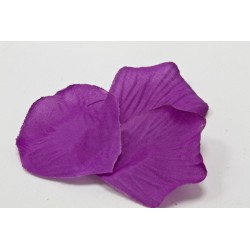 PETALE DE ROSE - Prune x...