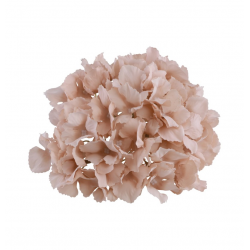 HORTENSIA - Rose poudré...