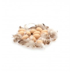 OEUFS - Naturel avec leurs...