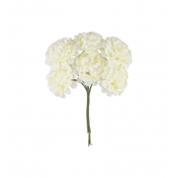 BOUQUET/PIQUET - Hortensia...