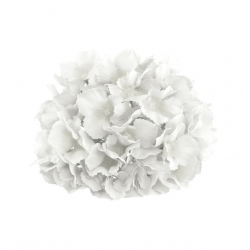 HORTENSIA - Blanc...