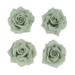 ROSE - Vert sauge x 4 (en...