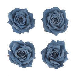 ROSE - Bleu denim x 4 (en...