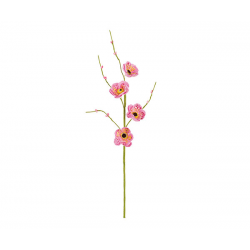 PIQUET/FLEURS - Pavot rose...