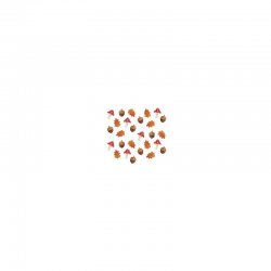 CONFETTIS DE TABLE -...