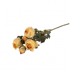 BOUQUET DE ROSE - Jaune...